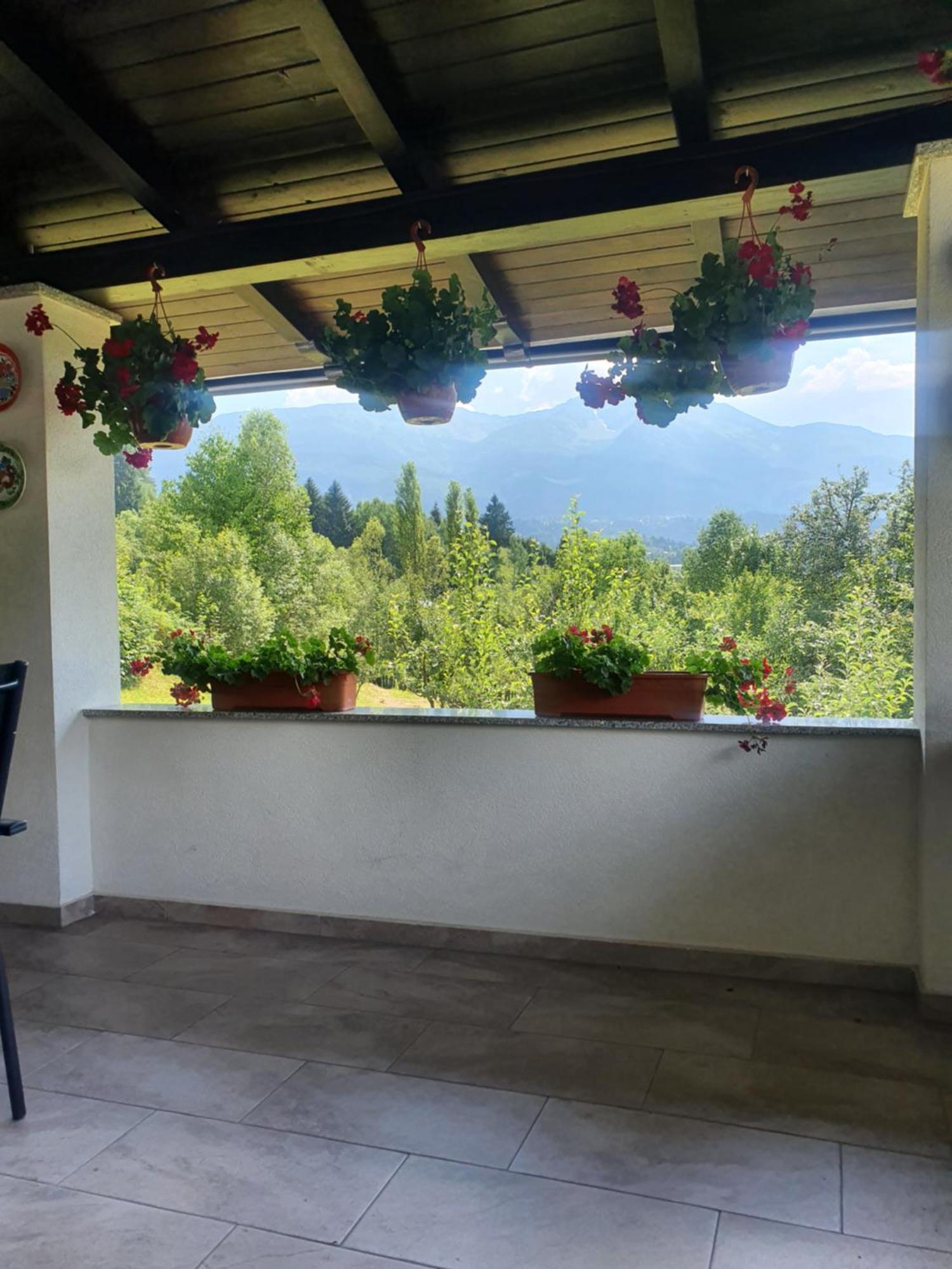 Villa Casa Danci Centru Borşa Exterior foto